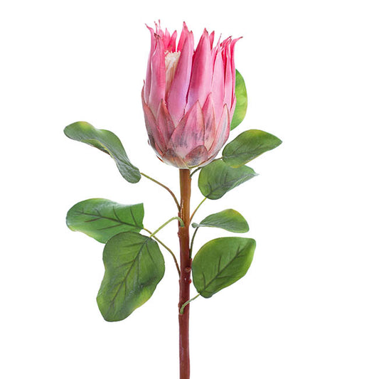 Dusty Pink Protea Flower - Real Touch Australian Native