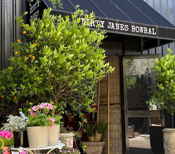 Visiting Bowral for Tulip Time? Here’s What We’d Add to Your Day