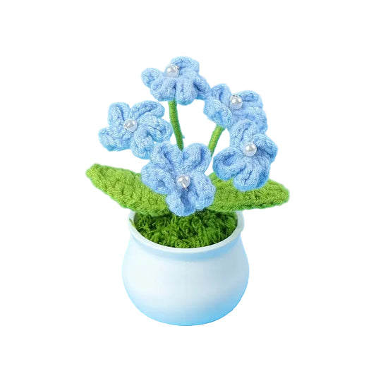 Hand Crochet Forget Me Nots in Pot