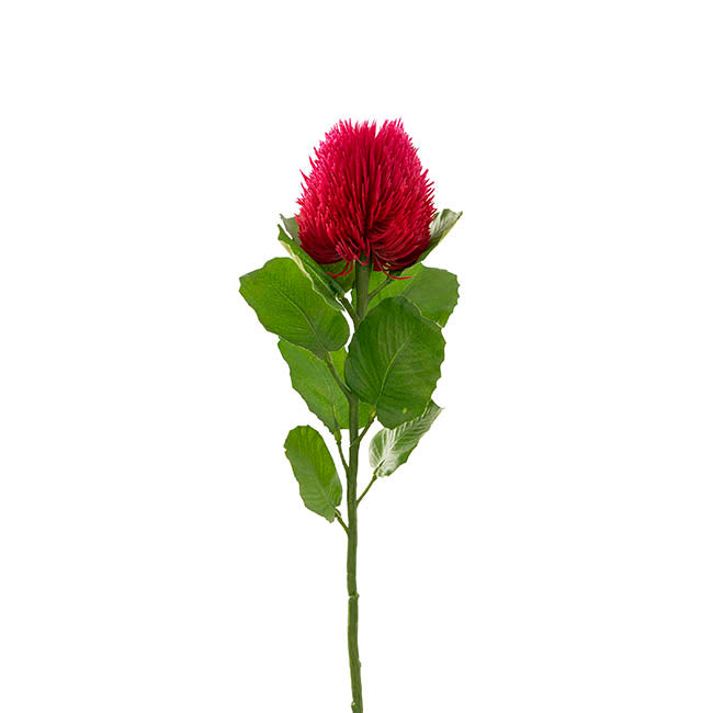 Hot Pink Banksia Flower - Real Touch Australian Native
