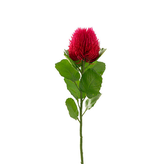Hot Pink Banksia Flower - Real Touch Australian Native
